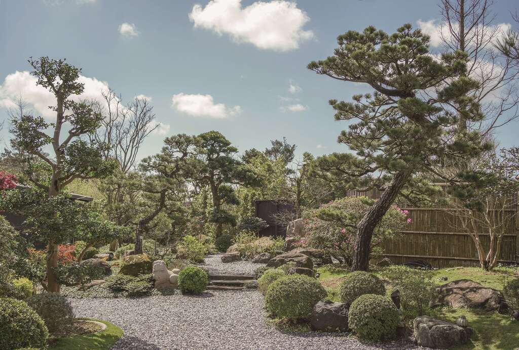 由陈元庆设计的庭园美学计画「里山」，让日本松树与台北浅山植物共存。（摄影／Daniel）