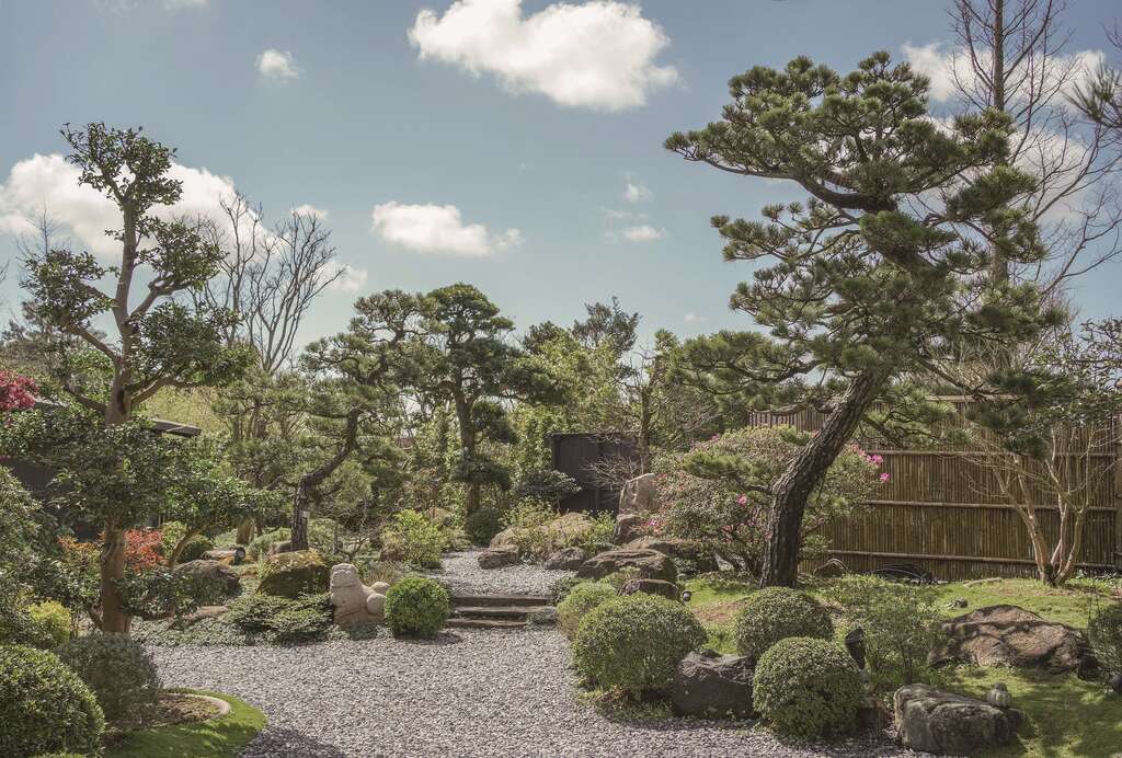 由陳元慶設計的庭園美學計畫「裏山」，讓日本松樹與台北淺山植物共存。（攝影／Daniel）