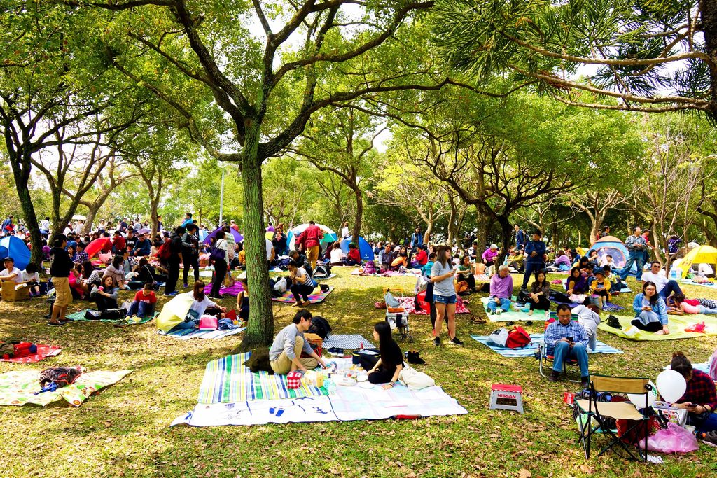 TPEDOIT to Organize Floral Picnic at Daan Forest Park Starting March 18