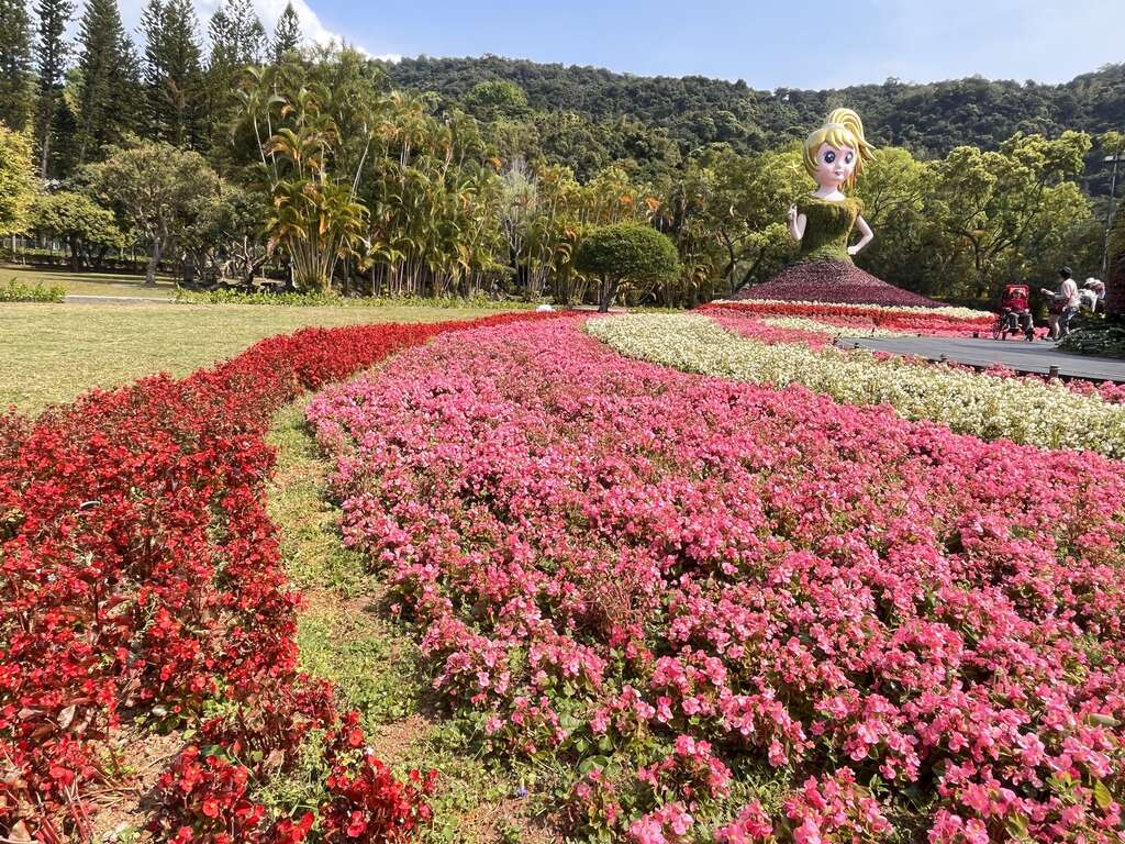 「彩色大地花毯」以花仙子裙襬舞動出紅粉白花海(圖片來源：臺北市政府工務局公園路燈工程管理處)