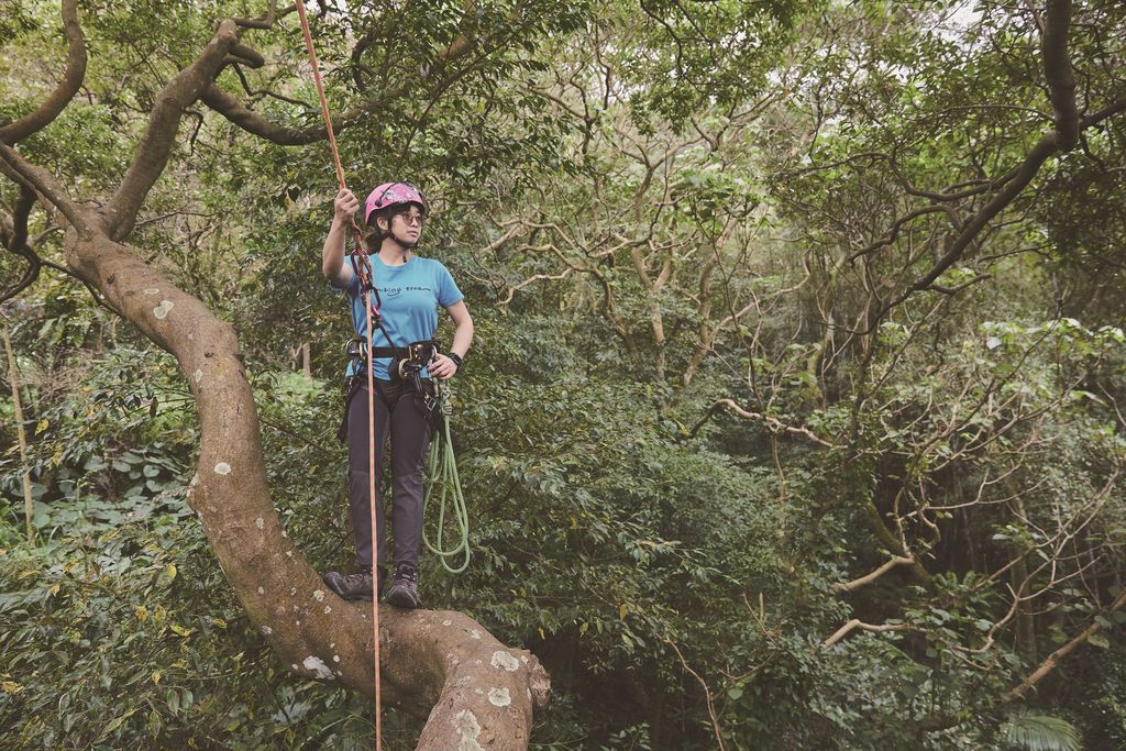 攀树师许荏涵认为，透过攀树可以更加亲近自然，并以新的角度认识生活周遭。（摄影／黄政达）