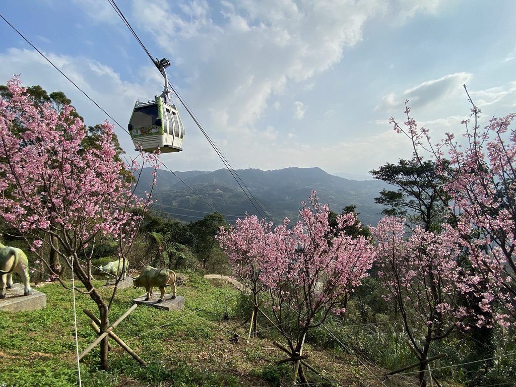 貓空纜車4月1日至4月5日推出優惠活動，國小以下兒童可兌換免費搭乘券，春假期間不妨闔家一起漫遊貓空去！
