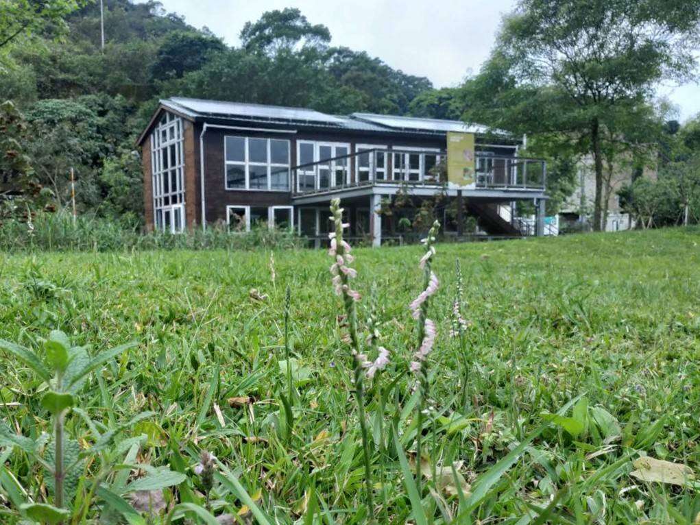 绶草在山水绿公园「创能、储能示范场域」前的绿茵现踪(图片来源：台北市政府环境保护局)