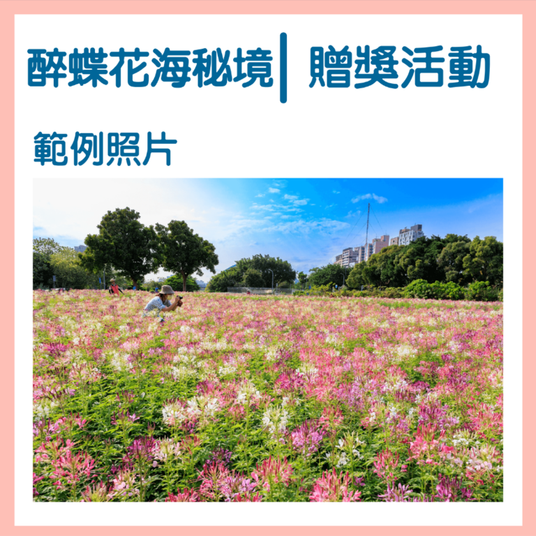 古亭河濱醉蝶花凱 水利處辦贈獎活動(圖片提供：臺北市政府工務局水利工程處)