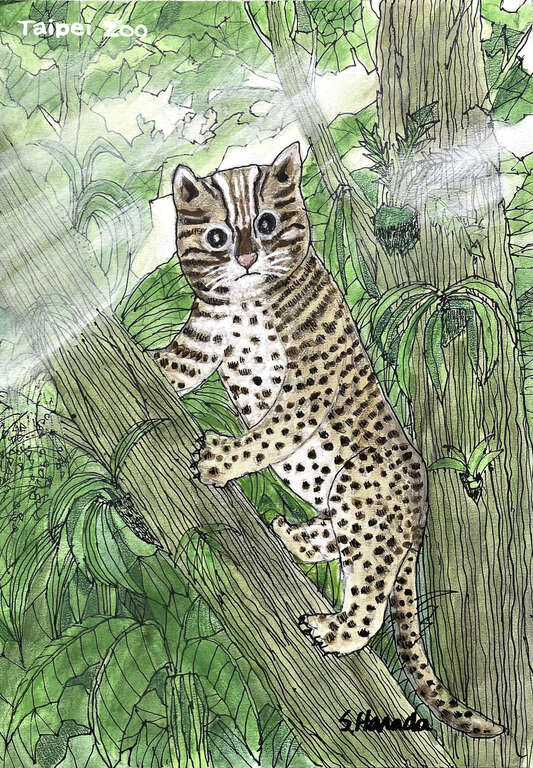 Japanese Architect Holds Exhibition, Supports Taipei Zoo’s Adoption Program