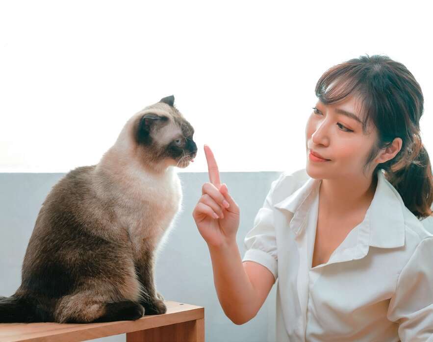 透過毛孩的眼光看世界，你可能會有大發現。（圖／單熙汝）