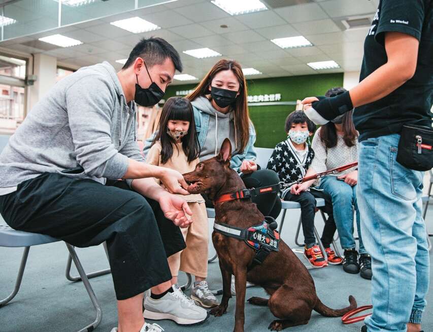 「台湾心辅犬培育团队」技术长锺皓羽示范，如何正确地与狗狗进行第一次接触，建立良好的双向关系。（摄影／邹保祥）