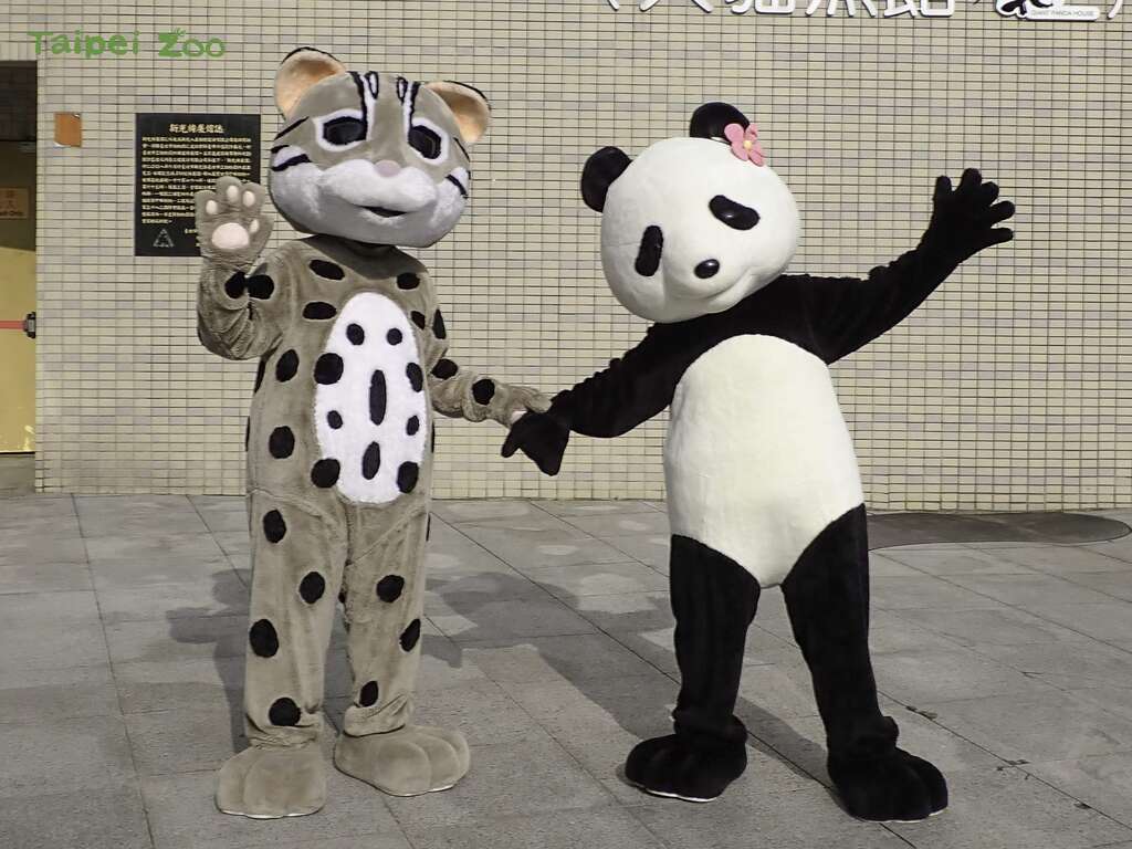 動物朋友見面會歡迎大小朋友一起來合照(圖片來源：臺北市立動物園)
