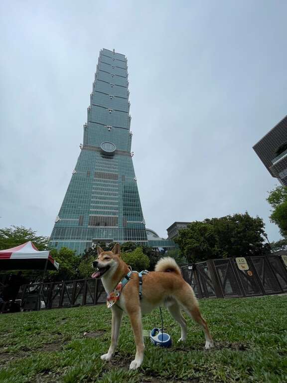 毛爸媽可帶毛孩到狗活動區、鄰近商圈及動物友善空間玩樂(圖片來源：臺北市動物保護處)