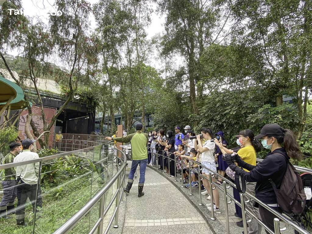 期望在不久的将来，无尾熊的教育展示能更具弹性也更为多元(图片来源：台北市立动物园)