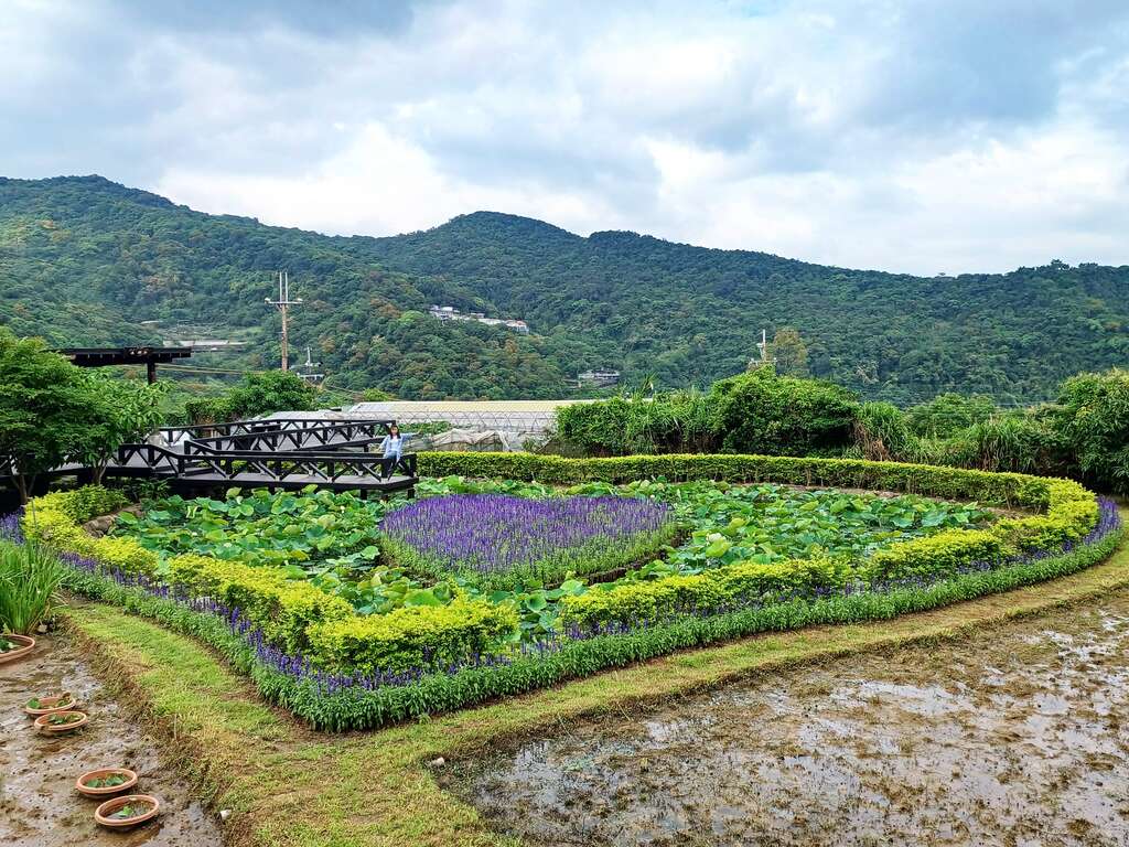 白石湖社区-同心池(图片来源：台北市政府工务局大地工程处)