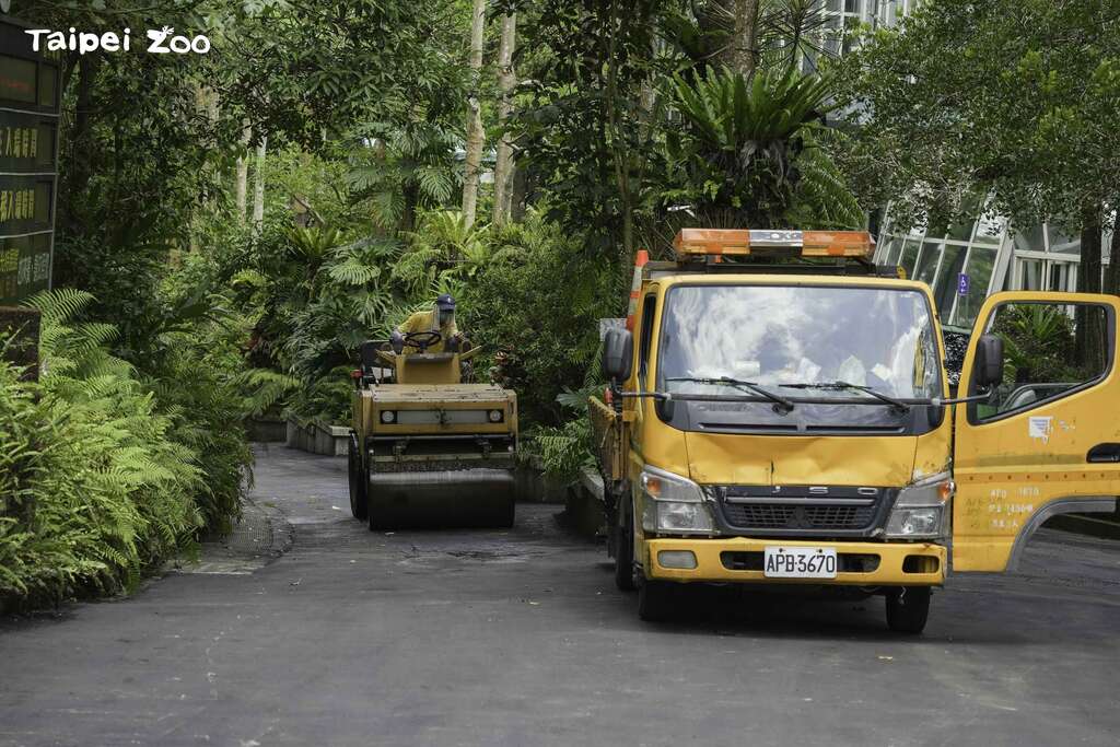 遊客參觀道路柏油銑鋪(圖片來源:臺北市立動物園)