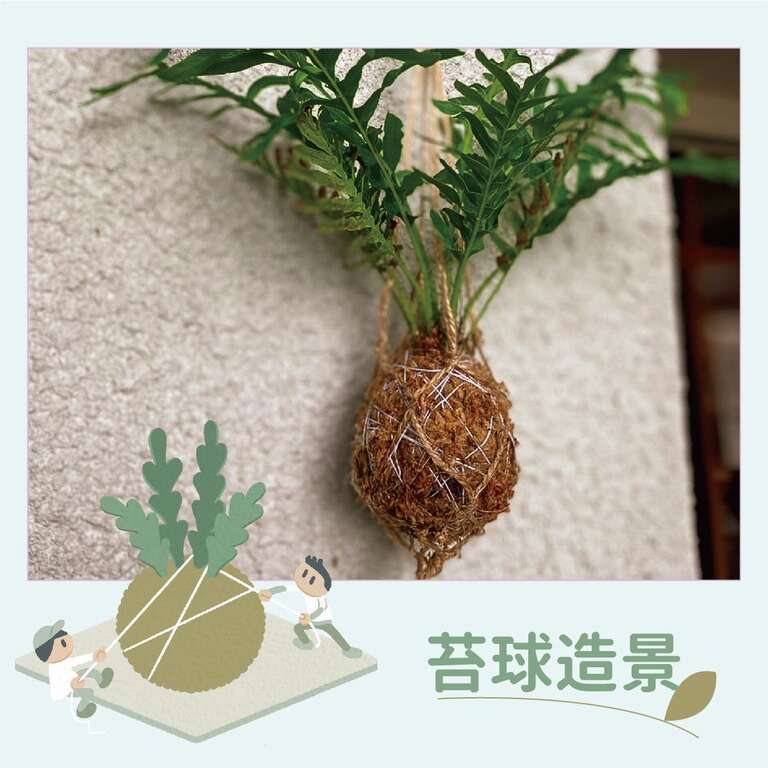 為回應「塑戰速決」的世界環境日議題，「苔球造景」活動將不提供塑膠袋，邀請民眾自備環保袋響應減塑生活。(圖片來源：臺北市政府工務局公園路燈工程管理處)