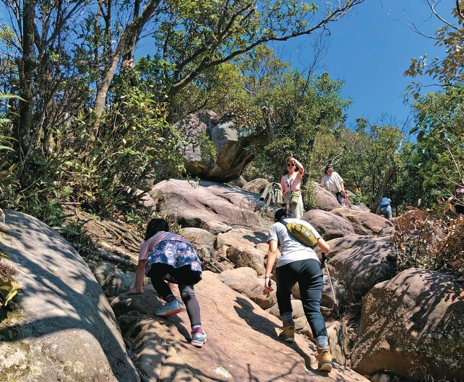 金面山親山步道攀岩路段具有挑戰性，可燃起孩子的意志力。（攝影／余業文）