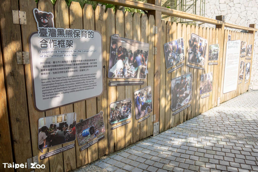 大家可以了解臺灣黑熊保育的點滴(圖片來源：臺北市立動物園)