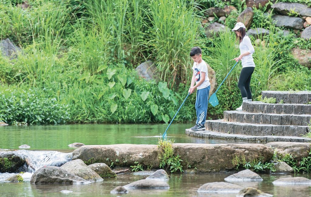 大溝溪生態治水園區生態豐富，也有清涼小溪可以戲水。(圖片來源：臺北市政府觀光傳播局)
