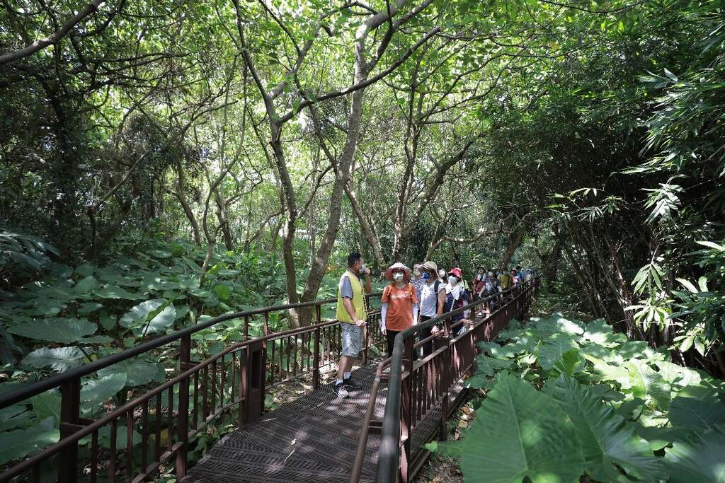 小觀音山木棧道工程-山林棧道中結合生態及人文的導覽活動(圖片來源：臺北市政府工務局公園路燈工程管理處)