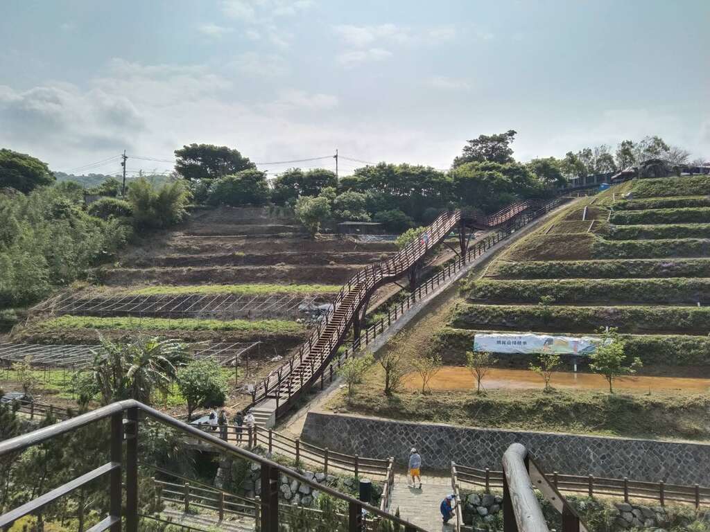以稻穀隨風搖曳為靈感設計出風格獨特的「稻浪棧橋」(圖片來源：臺北市政府工務局大地工程處)