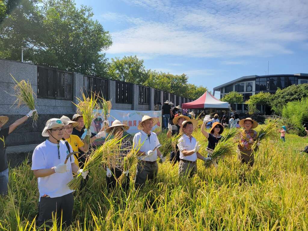 往年收割體驗活動(圖片來源：臺北市政府工務局大地工程處)