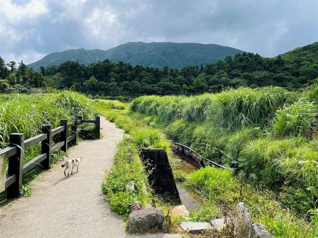頂湖環狀步道(圖片來源：臺北市政府工務局大地工程處)