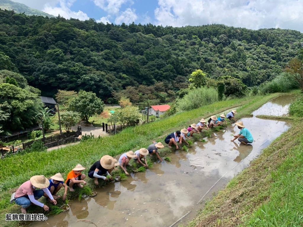 台湾好行北投竹子湖线「竹子湖农游乐」游程邀请旅客体验大自然农作的乐趣。(图片来源：台北市政府观光传播局)