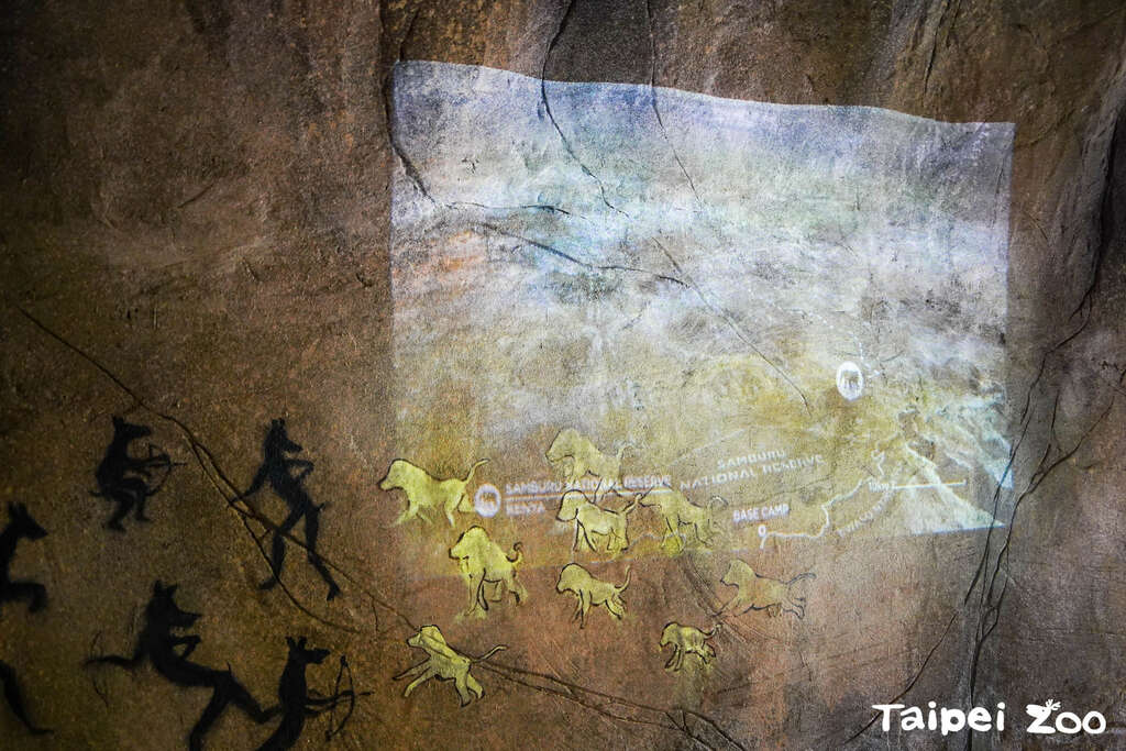隧道中利用聲光投影增加視聽體驗(圖片來源：臺北市立動物園)