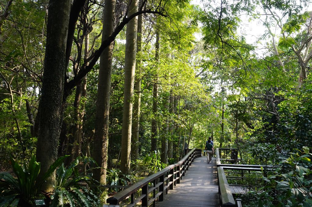 位在城南的台北植物园为城南一带增添悠闲、绿意氛围。(图片来源：台北市政府观光传播局)