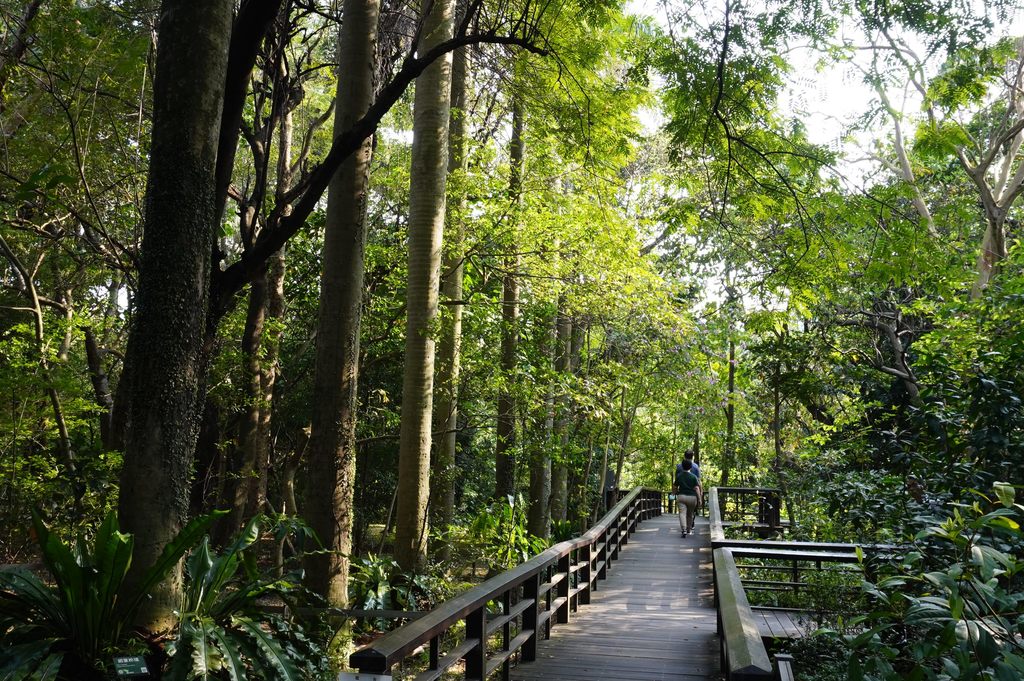 位在城南的臺北植物園為城南一帶增添悠閒、綠意氛圍。(圖片來源：臺北市政府觀光傳播局)