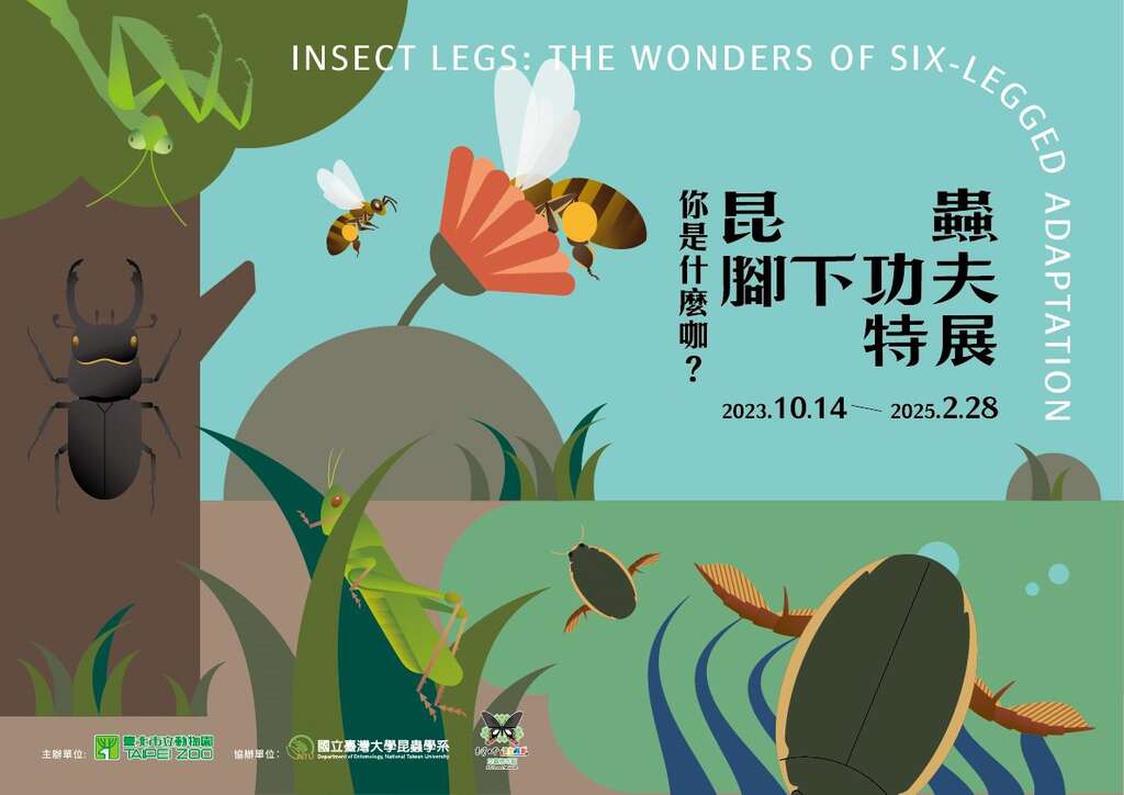 10月14日「你是甚麽咖」昆虫脚下功夫特展开幕活动(图片来源：台北市立动物园)