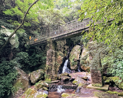 台灣好行「北投——竹子湖線」三大遊程主題