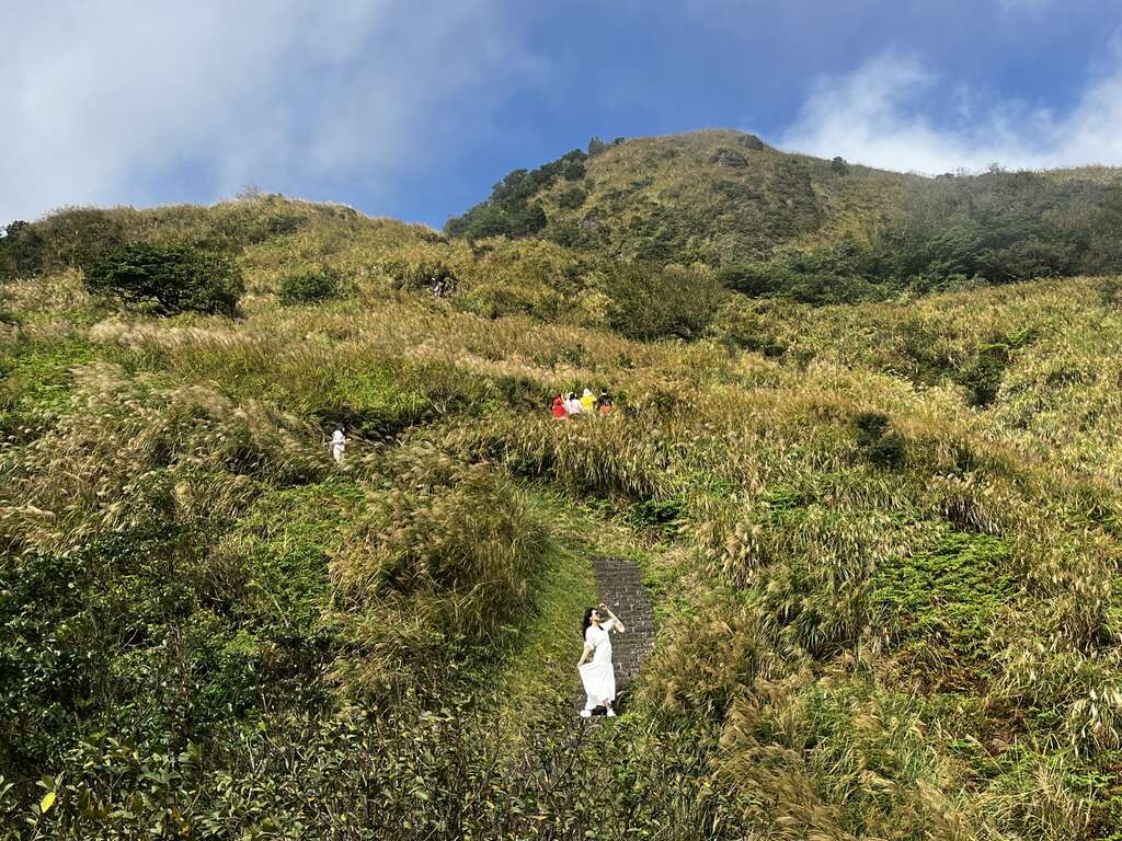 人像加上芒草美景(远景)(图片来源：台北市政府工务局大地工程处)