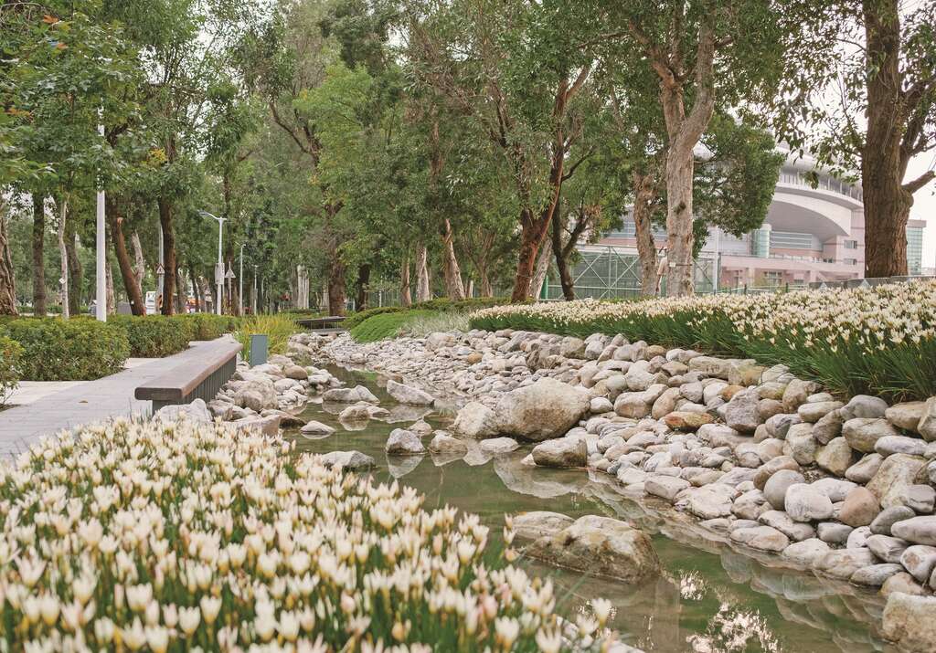 P32 图4_新生南路三段水圳为生活增添许多绿意。（图／台北市工务局）