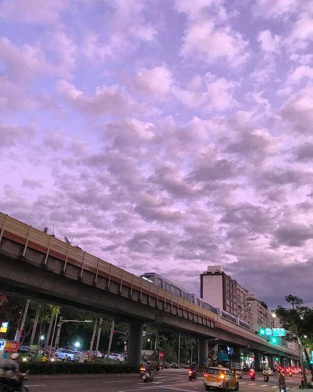 P48-51#写真-IMG_3403_捷运大安站附近@罗纾筠