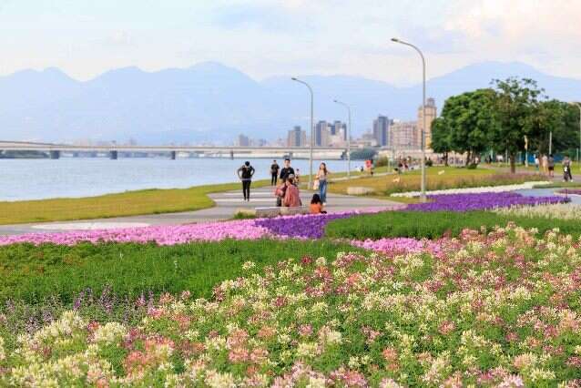 The Yanping Riverside Flower Sea's flower-watching season extends until Christmas this year.