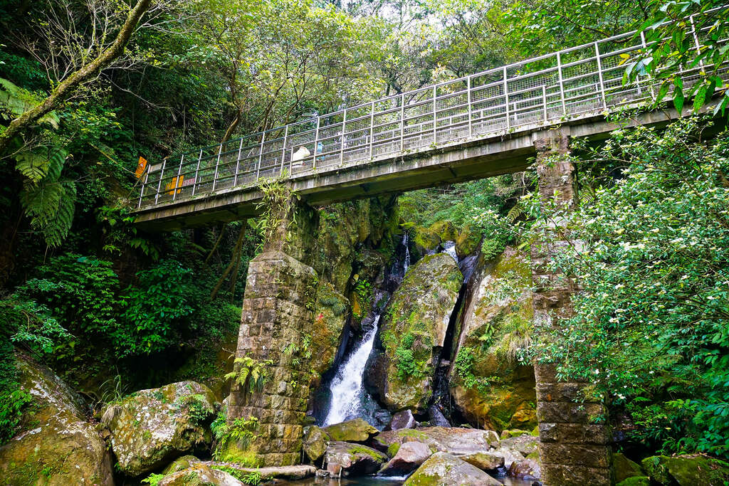 陽明山国立公園定番プチ旅行(2)