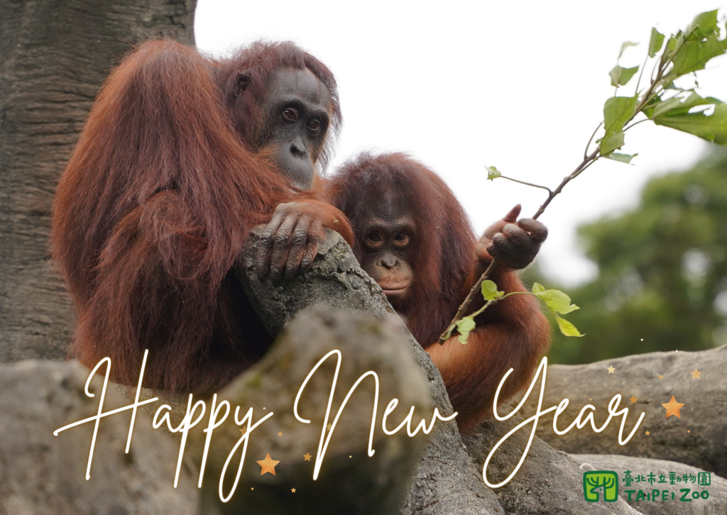 HappyNewYear2024TZ(图片来源：台北市立动物园)