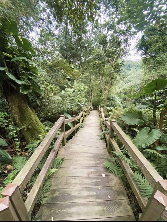 富陽自然生態公園木棧道景色(圖片來源：臺北市政府工務局公園路燈工程管理處)