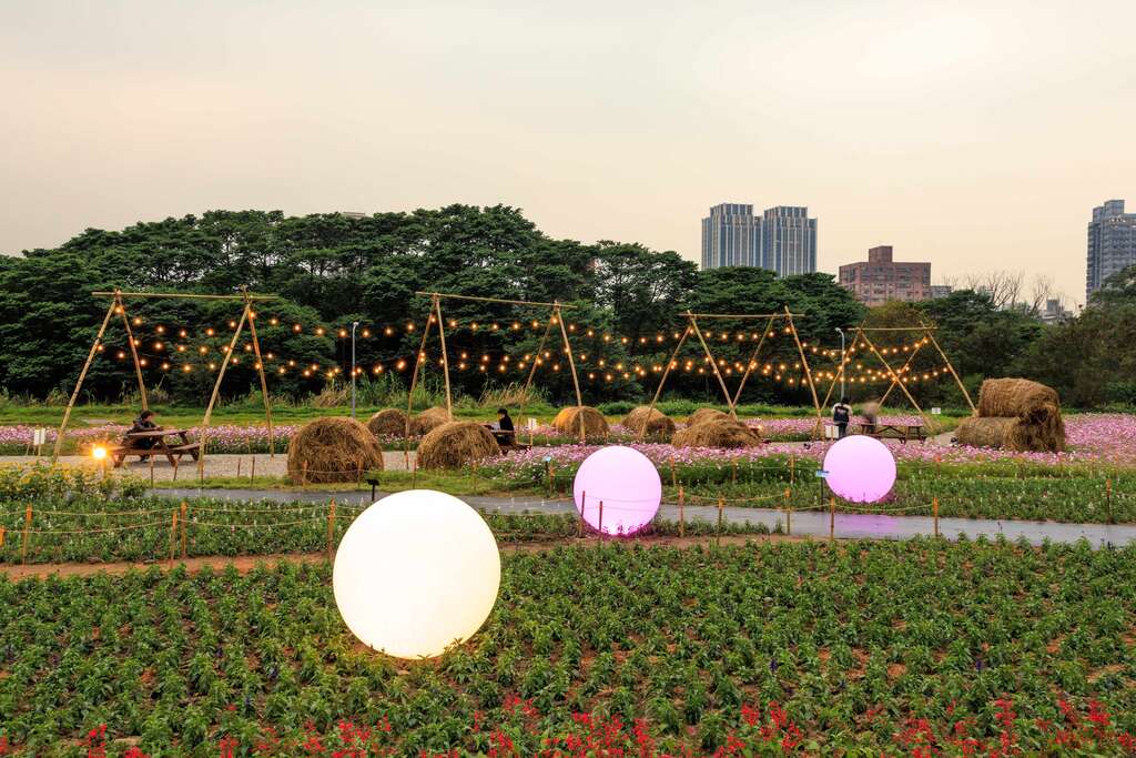 古亭河滨花海夜间球灯亮起 赏花更美(图片来源：台北市政府工务局水利工程处)