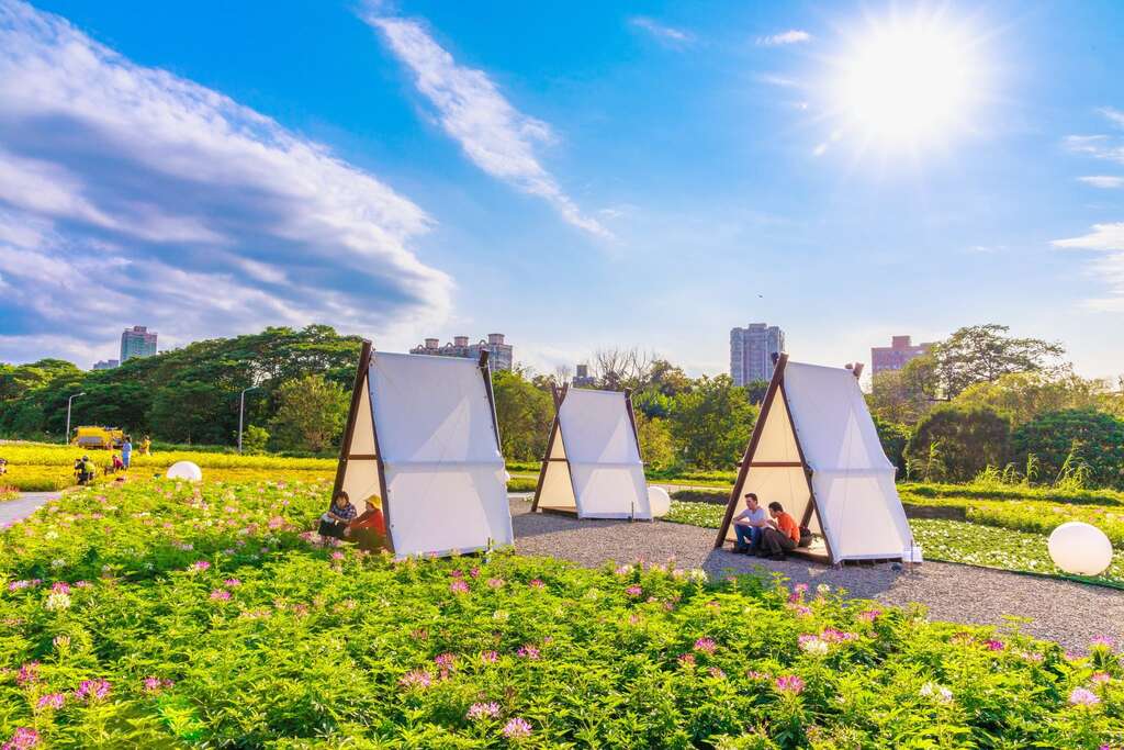 古亭河滨花海这次还多了帐篷 让民众边赏花边休憩好好放松一下(图片来源：台北市政府工务局水利工程处)