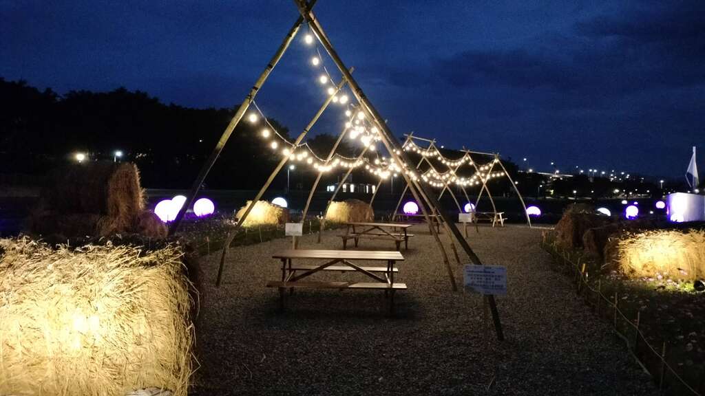 串串灯光点缀的帐篷 为花海带来另一种浪漫(图片来源：台北市政府工务局水利工程处)
