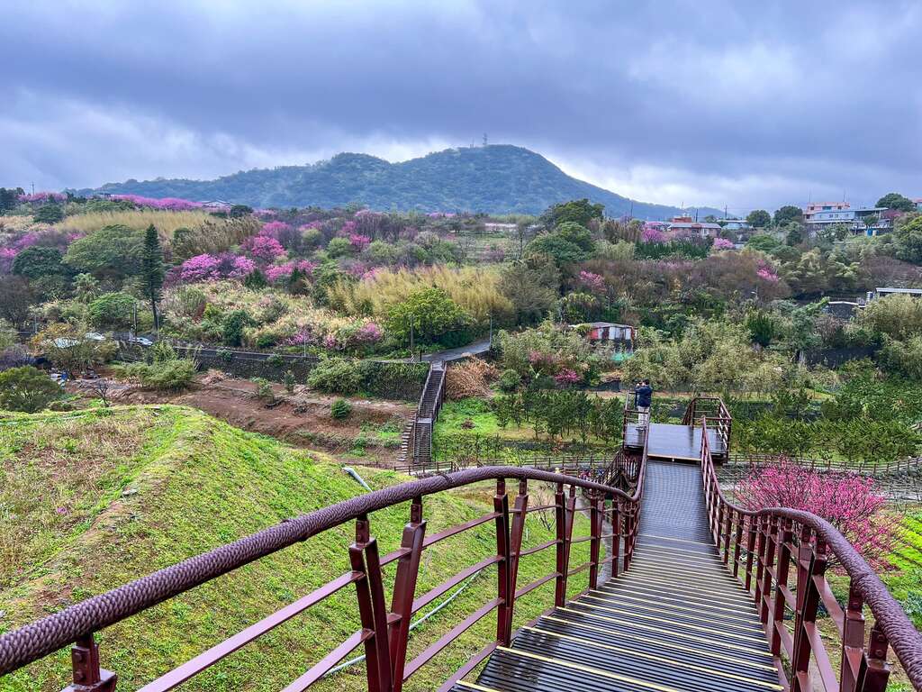 行走稻浪棧橋途間景緻(圖片來源：臺北市政府工務局大地工程處)
