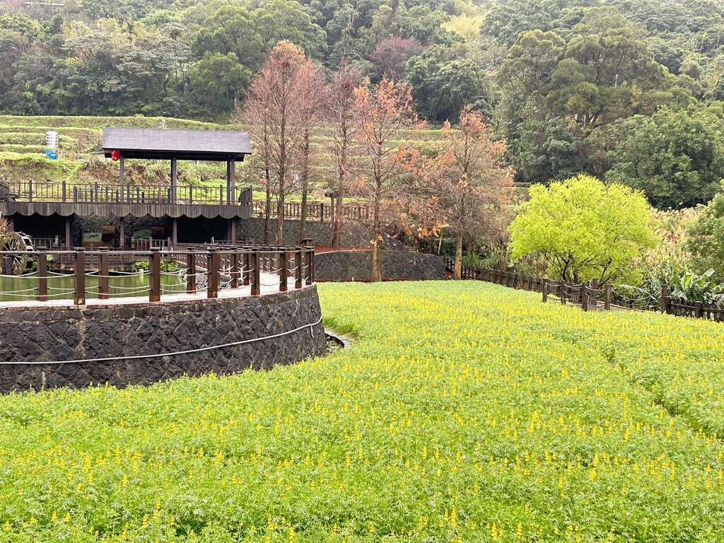 樟樹步道-明鏡池(圖片來源：臺北市政府工務局大地工程處)