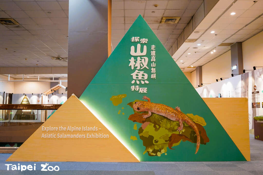 走进高山岛屿探索山椒鱼(图片来源：台北市立动物园)