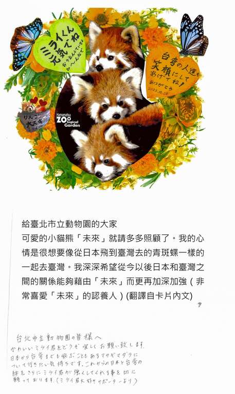 喜歡小貓熊「未來」的日本朋友給臺北動物園的祝福卡片(圖片來源：臺北市立動物園)
