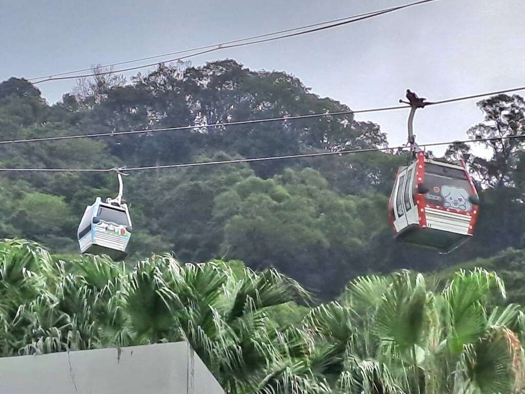 台北捷运去年推出「宠物专车」(图片来源：台北大众捷运股份有限公司)