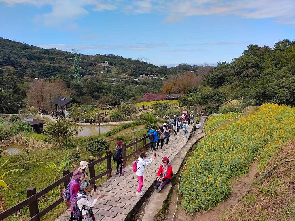樟樹步道花海(圖片來源：臺北市政府工務局大地工程處)