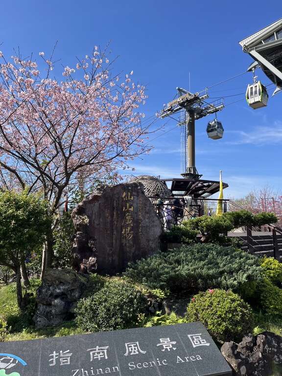 指南風景區賞櫻花美景(圖片來源：臺北市政府工務局大地工程處)