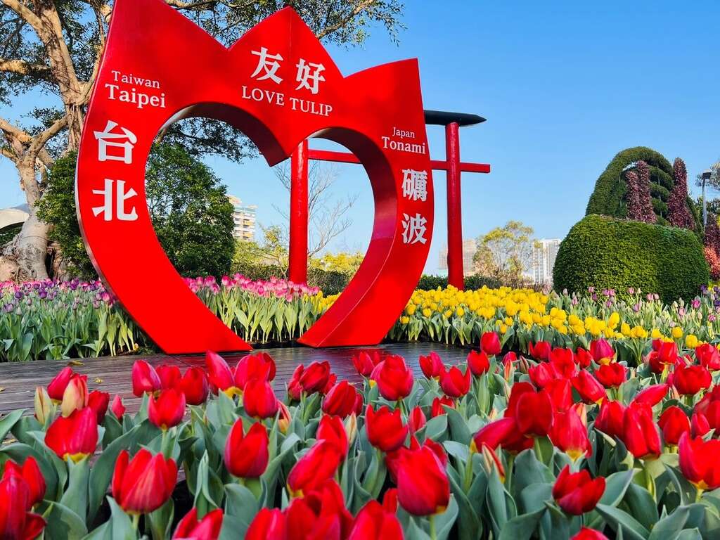 台日友好合作已迈入第六个年头，让市民们可在台北看到日本特有种的郁金香(图片来源：台北市政府工务局公园路灯工程管理处)