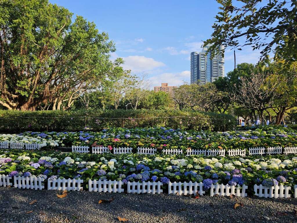 2024台北ツツジ祭り 花盛りの攻略法