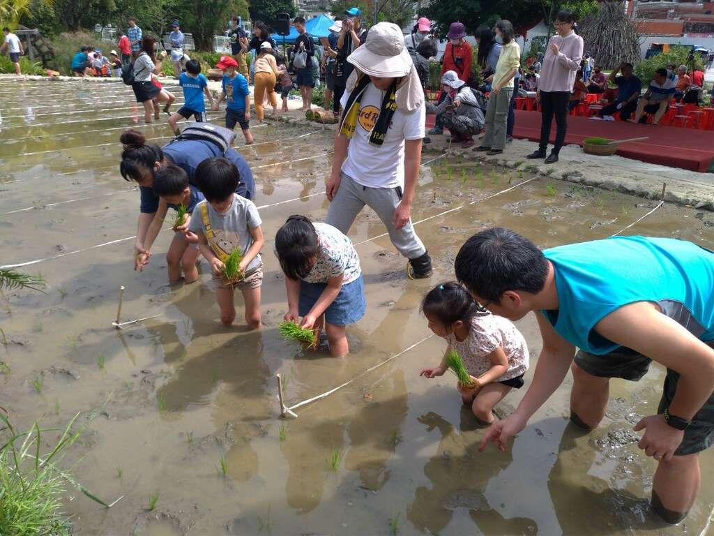 第一期稻作莳田(图片来源：台北市政府客家事务委员会)